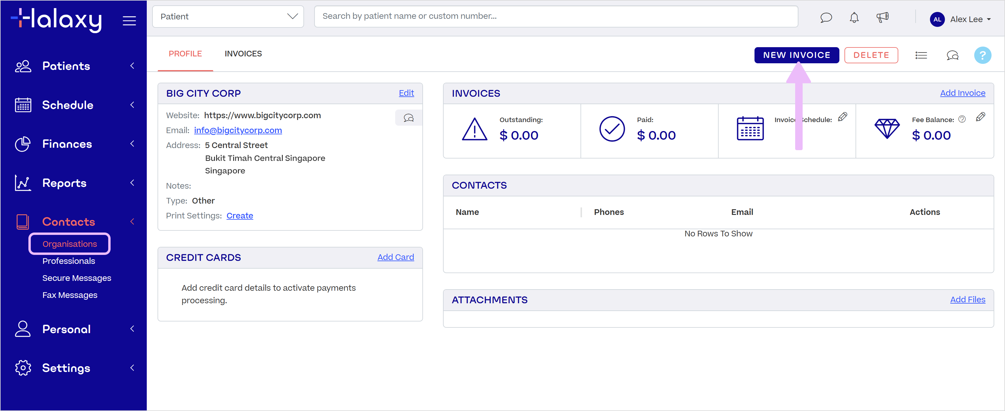Invoice-Create-Org-SG.png
